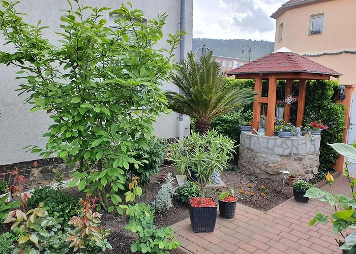 公寓 Ferienwohnung-thale-ritter Ii